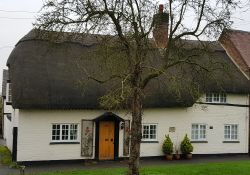 10Thatched cottage